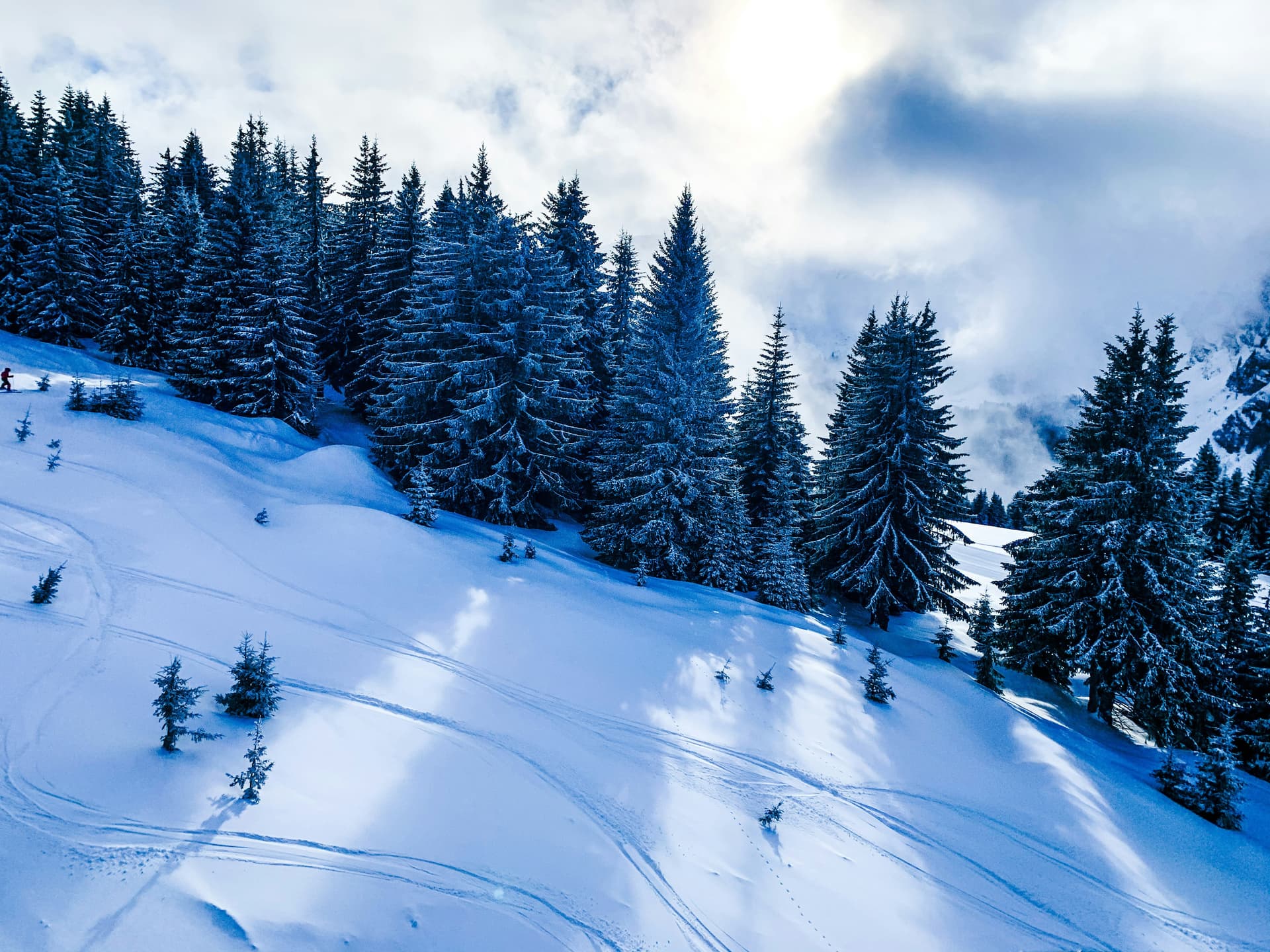 Morzine vs Méribel: Which French Resort Is Right for You?